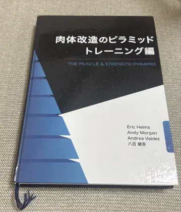 신체 개조 피라미드 트레이닝 편