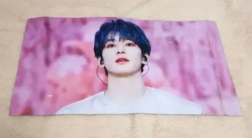 세븐틴 세부치 원우 슬로건