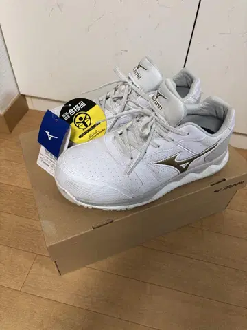 미즈노 안전화 25cm