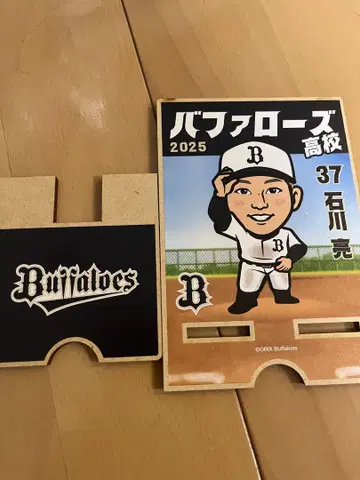 오릭스 버팔로스 가챠 이시카와 료 선수