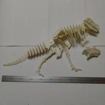공룡 모형 티라노사우루스 약 50cm