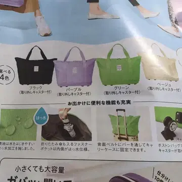 칼리 보스턴 백