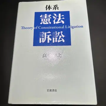 체계 헌법 소송