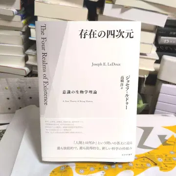존재의 4차원 : 의식의 생물학적 이론