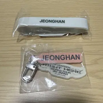 SEVENTEEN 정한 러버 밴드 키링