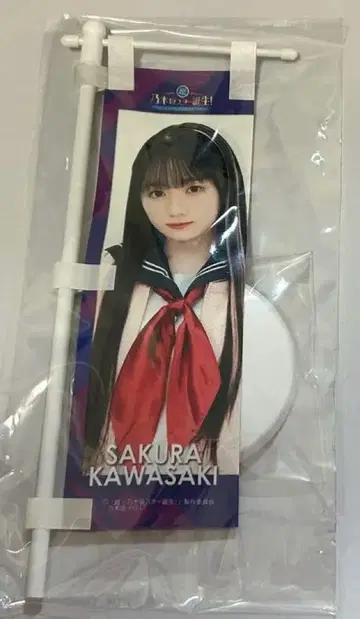 카와사키 사쿠라 노기사카 스타 탄생 플래그 캔뱃지 스타 탄생