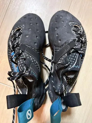스컬파 키메라 EU37