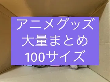 애니메이션 굿즈 비장르 잡화 대량 묶음 판매 100 사이즈 세트
