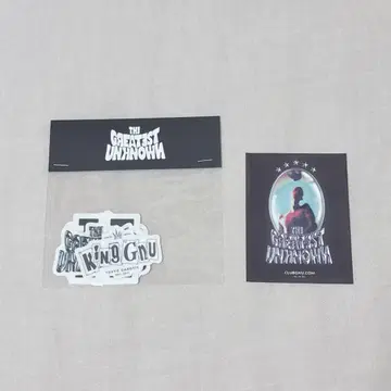 King Gnu THEGREATESTUNKNOWN 스티커 덤 포함