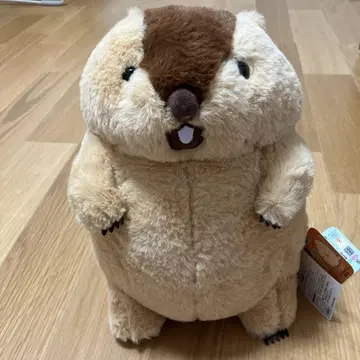 마모트의 모토토 봉제 인형 아타로