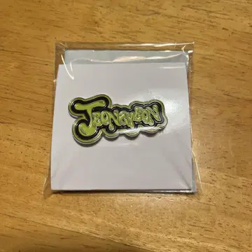 TWICE 랜덤 핀 배지 정연