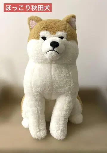 마사키치 울트라 BIG 봉제 인형