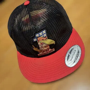 archive 90s 00s DC 올 메쉬 캡 y2k