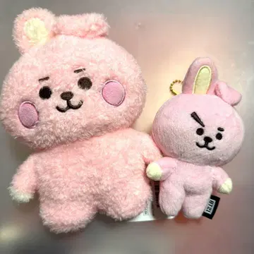 BTS BTS 쿠키 쿠키 정국 봉제 인형
