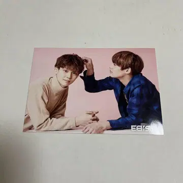 EBiSSH 사와무라 레이 세키 테츠타 브로마이드