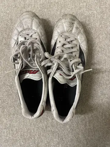 모레리아 2 Japan 26 크로스 스티치