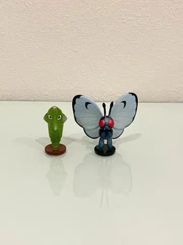 몬코레 바타프리 트랜셀 포켓몬