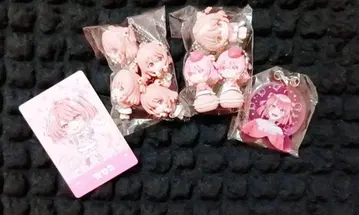 컬러풀 피치 노아 씨 묶음 판매