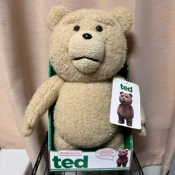 ted 봉제 인형과 키링 세트