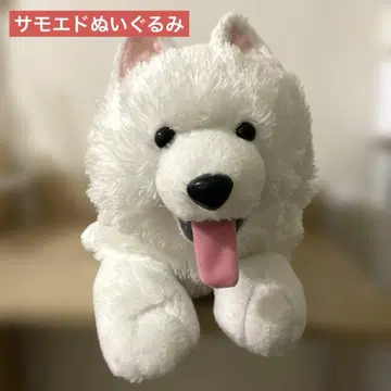 사모에드 봉제 인형 혀를 내밀고 울트라 BIG 다이토 한정판