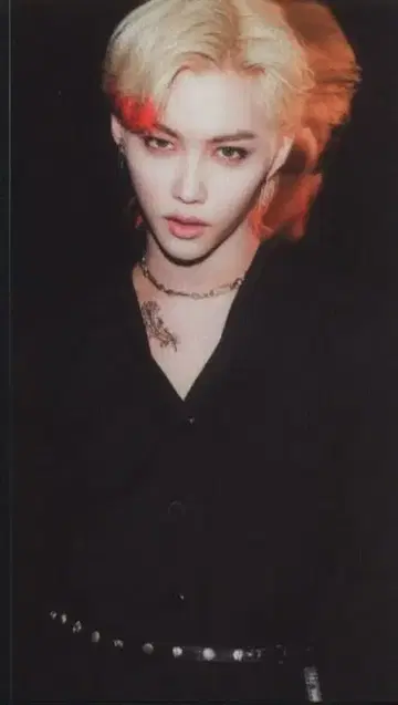 스트레이키즈 펠릭스 스카즈 D
