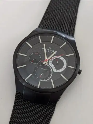 Skagen (스카겐) 809XLTTM Aktiv 티타늄 손목시계