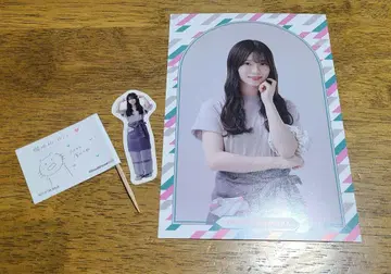 야마시타 시즈키 사쿠라자카 카페 엽서 씰