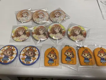 러브 라이브 선샤인 타카미 치카 캔뱃지 기타 펠트