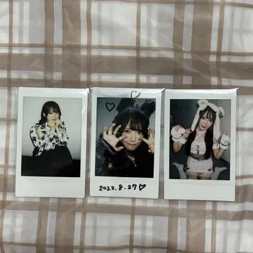 반다 하즈키 폴라로이드