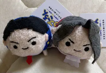 미츠루기 레이지, 나루호도 류이치, 역전재판, 카푸코론, CAPCOM