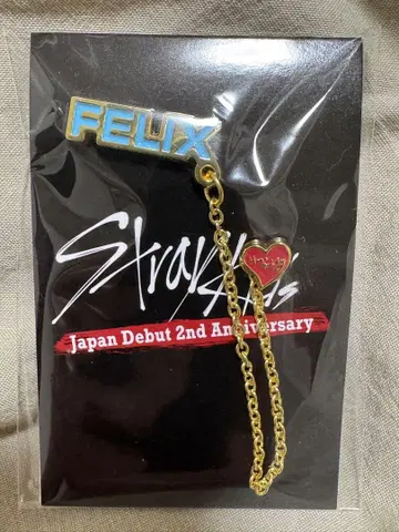 StrayKids FELIX 체인 핀즈