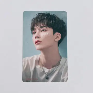 세븐틴 정한 트레이딩 카드 춤추는 꽃잎