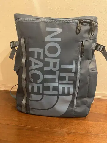 THE NORTH FACE 그레이 럭색/백팩