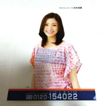 컬러풀 A4 클리어 파일 우에토 아야 일본 생명