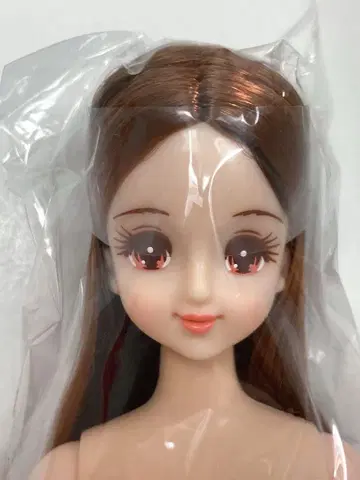 즐거운 인형 마린 리카짱 캐슬