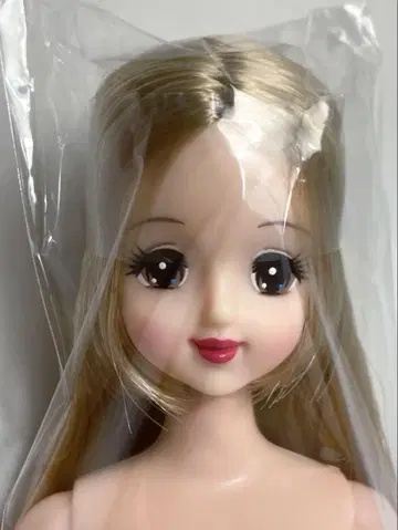 오타즈미 인형 초대 제니 리카짱 캐슬