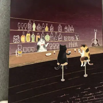 와카의 오비 고양이 BAR