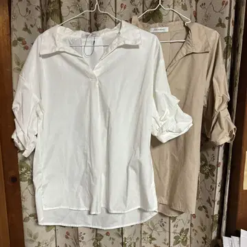 카라 부착 반팔 셔츠 2종 세트