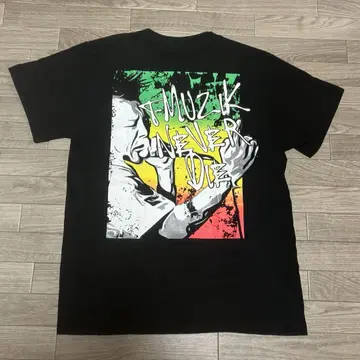 TERRY THE AKI-06 우라니와 오리지널 420 레코드