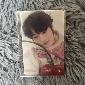 NCTWISH 사쿠야 트레이딩 카드 weverse shop 점수