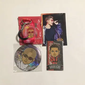 EXILE SHOKICHI 묶음 판매 레어 캔뱃지