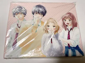 사키사카 이오 전 아오하라이도 스트로보 엣지 캔버스 아트