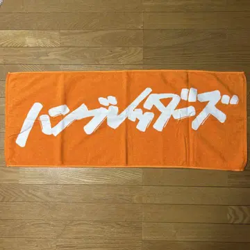 함브레더스 타월