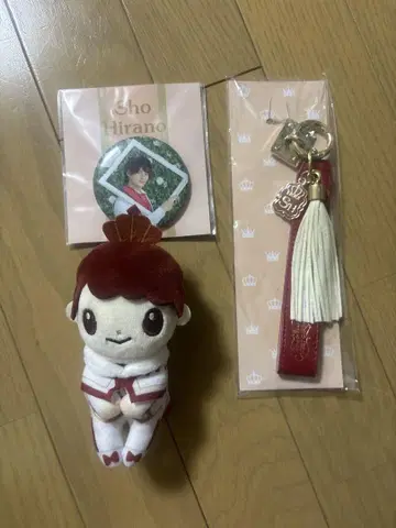 히라노 쇼 쵸코리 씨