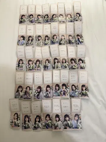 노기자카46 모바일 Mobile 노기메쿠리 39명 컴프