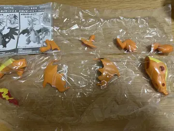 조립 가동! 메가 리자몽 Y