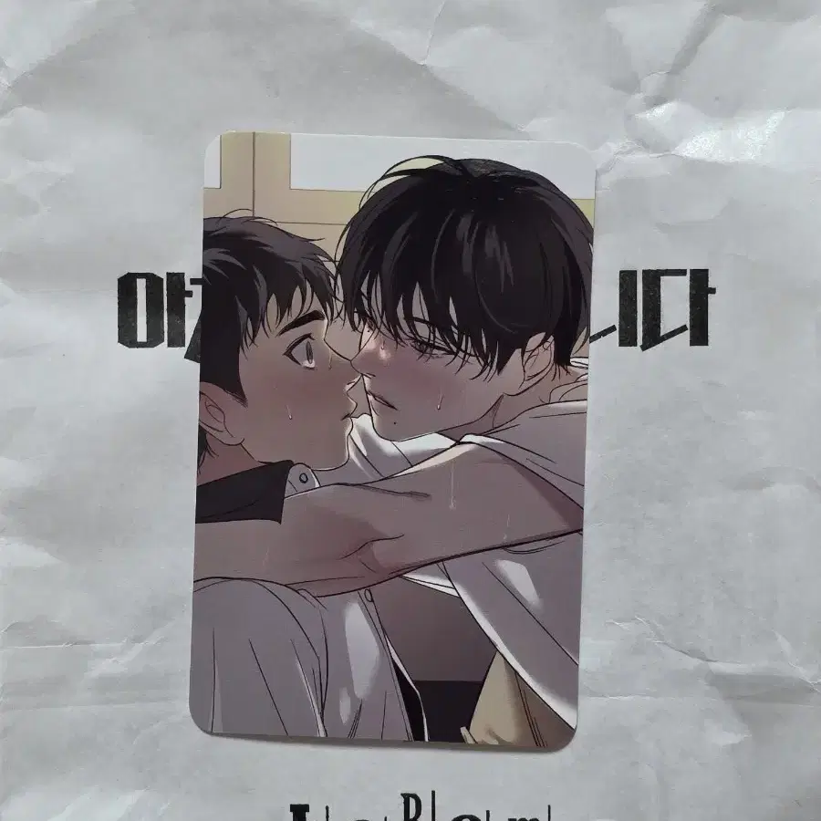 激安ブランド Lezhin Lebom Bom Pre-Order Photocard Backlight Up Pop Resin その他