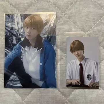 테니뮤 람브로 트레이딩 카드 히요시 와카