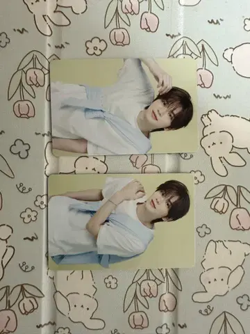 tws 시뉴