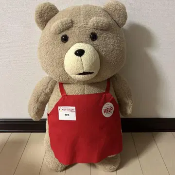 테드 봉제 인형
